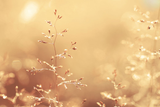 1712530 (a): :2560x1714